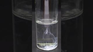 The weird reaction between sodium bicarbonate and calcium chloride viral [upl. by Shaddock]