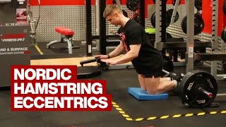 Nordic Hamstring Eccentrics [upl. by Lehacim706]