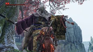 Sekiro  True Monk Cheese patch 106 GOTY Edition [upl. by Nowujalo]