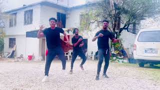 Goya Menor amp Nektunez  Ameno Amapiano Remix Dance VideoDynamic African Acrobatics Ghana [upl. by Lieberman]