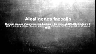 Medical vocabulary What does Alcaligenes faecalis mean [upl. by Aiym639]