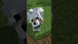 You Just met your Dog in Minecraft minecraft shorts [upl. by Infield]