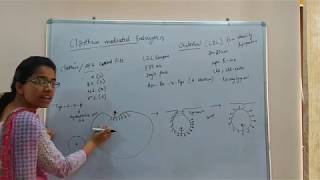 Clathrin mediated endocytosis [upl. by Ludeman541]