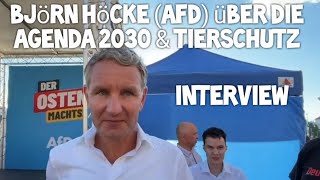 Björn Höcke über die Agenda 2030 amp Tierschutz Lebendtiertransporte  Tierheime Interview Gera AfD [upl. by Yankee]