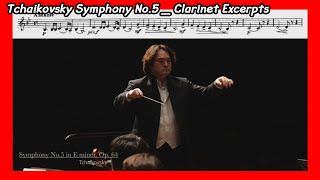 ◐Tchaikovsky Symphony No5 Clarinet Excerpts◑  차이코프스키 5번 교향곡 클라리넷 액섭 슈테른필하모닉오케스트라 [upl. by Nyltiak]