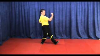 DRAGOS WING TSUN CHUMKIUFORM by Sifu Martin Dragos [upl. by Jacqui]