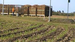 sugar cane train australia [upl. by Durant]