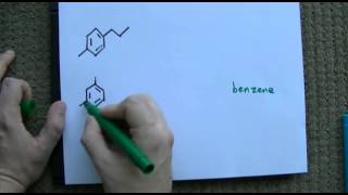 Ortho Meta Para Naming on Benzene [upl. by Hulda]