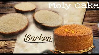 layer cake molly cake recipe [upl. by Emmerich317]