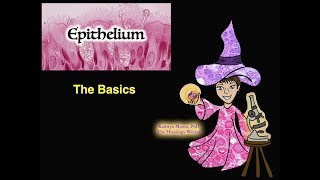 Epithelium The Basics [upl. by Macintyre719]