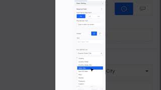 How to Add Country State and City Dropdowns in a Form Builder [upl. by Ellennahc]