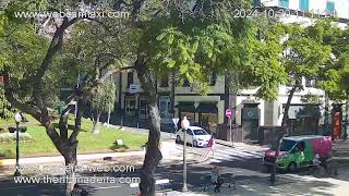 Ritz Madeira Live Webcam Avenida Arriaga Funchal Madeira Island [upl. by Orola]