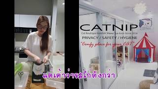 รีวิวอาหารแมว Canagan แบบงงๆ [upl. by Coffin]