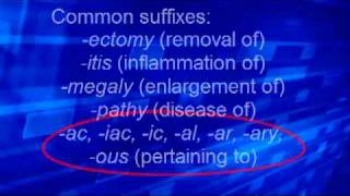 Med Term 2 Roots prefixes suffixes [upl. by Eimak]