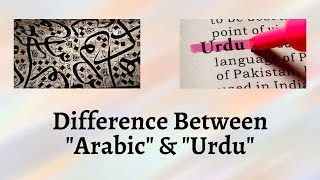 Difference Between Arabic and Urdu  Unraveling the Intricacies of Arabic and Urdu [upl. by Aihsekat]