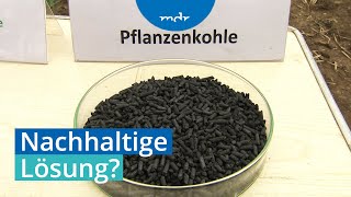 Nachhaltig Experimente mit Pflanzenkohle  MDR SACHSENANHALT HEUTE  MDR [upl. by Dirgni238]