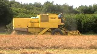 Combining at Camrose  with Clayson [upl. by Narak2]