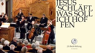 JS Bach  Aria quotDie schäumenden Wellen von Belials Bächenquot from Cantata BWV 81 [upl. by Mata]