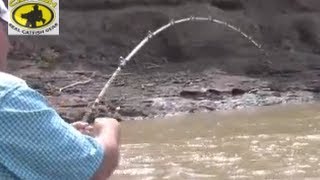 How to catch channel catfish in a muddy creek with catfish bait Team Catfish Video 1 [upl. by Annaerda]