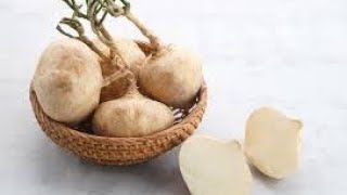 Bengkoang also known as jicama has several health benefits [upl. by Iolande443]