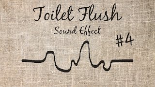 Toilet Flush Sound Effect  4 [upl. by Debi]