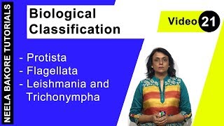 Biological Classification  NEET  Protista  Flagellata  Leishmania amp Trichonympha  Neela Bakore [upl. by Pasquale]