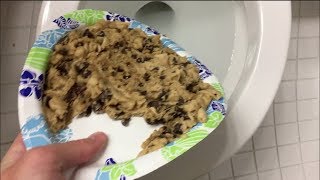 Will it Flush  Nestle Toll House Cookie Dough [upl. by Bennir]