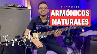 Armónicos Naturales  Tutorial para bajo  Tiago Andree [upl. by Harding]