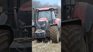 Case IH Optum 300 cvx  Lemken EurOpal 8 [upl. by Neelrad]