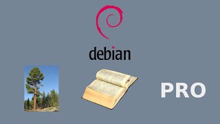 Installing and using Debian on the Pinebook Pro [upl. by Beaston]