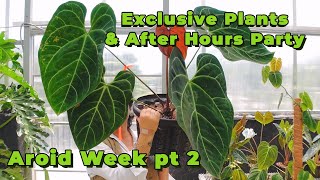 Our most Exclusive plants Tour  Aroid Greenhouses After Hours Party Celebration  Aroid Week pt 2 [upl. by Ljoka334]