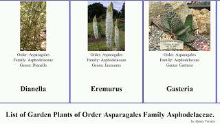 Garden Plants of Order Asparagales Family Asphodelaceae Aloe [upl. by Eelyam123]