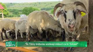 “În Timiș trebuiau aceleași măsuri ca în Tulcea” 10 10 2024 [upl. by Gomar]