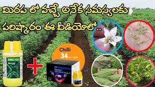 basf exponus insecticide  exponus basf insecticide  uses telugu  basf merivon fungicide [upl. by Yrram]