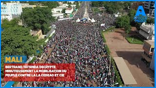 MALIBERTRAND TATSINDA DECRYPTE MINUTIEUSEMENT LA MOBILISATION DU PEUPLE CONTRE LA LA CEDEAO ET CIE [upl. by Alvarez553]