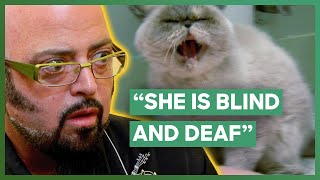 Jackson Galaxy Helps A Blind Deaf And Aggressive Cat  My Cat From Hell [upl. by Arama317]