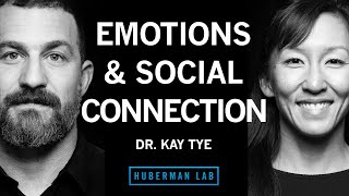 Dr Kay Tye The Biology of Social Interactions and Emotions [upl. by Eivod]