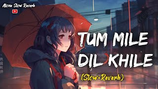 Tum Mile Dil Khile SlowReverb Stebin Ben  Asees Kaur arjitsingh viral trend music [upl. by Aimar]