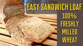 Easy Sandwich Bread with 100 Freshly Milled Wheat  Yeast Bread  Best Bread Recipe [upl. by Cavanagh]