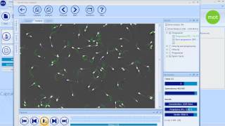 SCA Motility and concentration  CASA System SCA Evolution Veterinary Edition [upl. by Salokkin533]