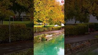 Golden Autumn in Interlaken Switzerland 🇨🇭 🐄🏠  Beautiful Swiss Town [upl. by Akkahs466]