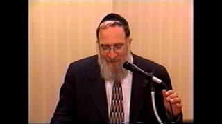 Rabbi Dovid Weinberger [upl. by Acimahs]