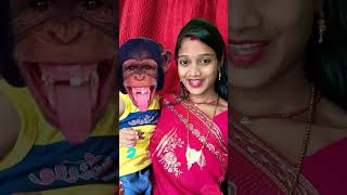 Bandar mama pahan pajama 💥💥😘 viral funny shrots [upl. by Aiek]