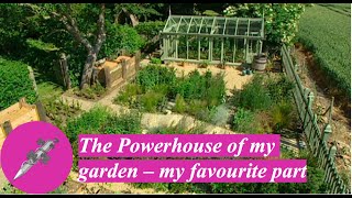 The Powerhouse of my garden  my favourite part [upl. by Aneehsar33]