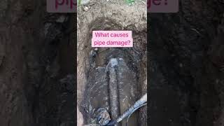 What Causes Pipe Damage [upl. by Isle]