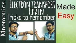 Electron transport chain tricks easy to remember [upl. by Cormack918]