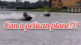 4hp outboard plane a pelican predator boat [upl. by Rodama444]