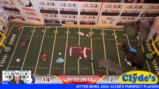 Kitten Bowl 2024 Clydes Purrrect Players vs Cellino Furballers [upl. by Auguste]