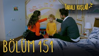 Yaralı Kuşlar 151 Bölüm [upl. by Grantley]