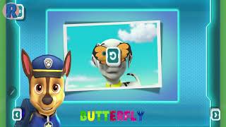 PAW PATROL  B FOR BUTTERFLY  UPPERCASE LETTERS alphabet educationalgames alphabetpreschool [upl. by Annabelle134]